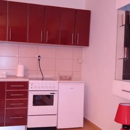 Stan Na Dan Vasilije * زفورنيك